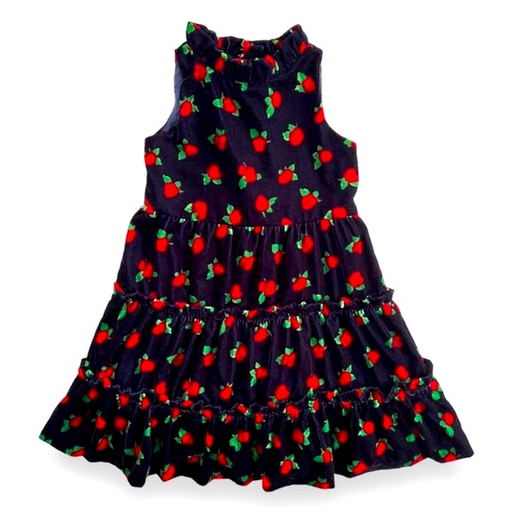 Janie and Jack Other - JANIE and JACK Gorgeous Velvet Rose Dress Special Occasion Party Festive Photos